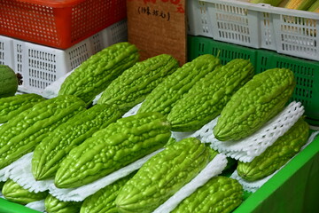Fresh light green bitter gourds with bumpy warty skin in green crate, white mesh protection on some, white and orange baskets behind, bright market display, Taiwan.