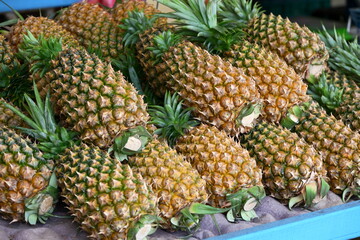 Stacked ripe pineapples with golden-yellow skin showing diamond-grid texture and green crowns, varying shades, on blue surface, blurred market background, Taiwan produce display.