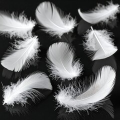 Obraz premium Close-up monochrome shot of several fluffy white feathers scattered across a dark, glossy surface. The feathers showcase intricate textures and soft edges