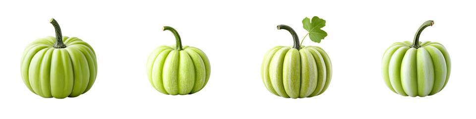 Miniature Green Pumpkins: Autumn Harvest, Fall Decor