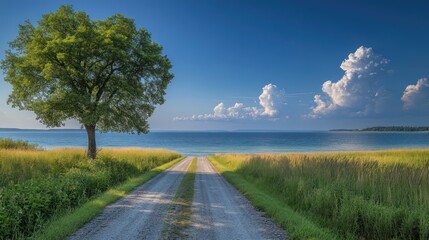 Picturesque country road leading towards a tranquil sea with a solitary tree nearby