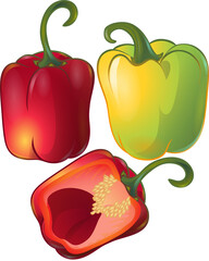 Fresh Red and Green Bell Pepper Isolated on White