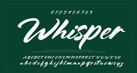 Hand drawn vector alphabet. Modern monoline signature script font. Elegant Signature Font. Best Alphabet Beautiful Calligraphy Signature Font