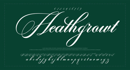 signature Font Calligraphy Logotype Script Brush Font Type Font lettering handwritten