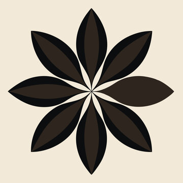 Star Anise Flower Shape With Dark Petals moti