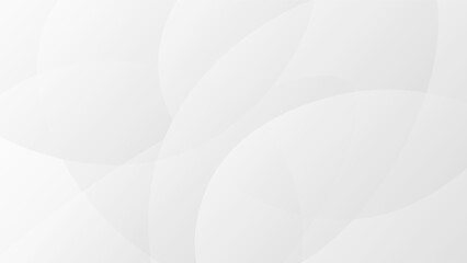 white background. luxury background. vector