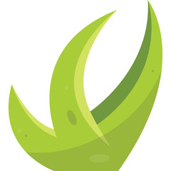 Abstract Green Grass Blade Elements Organic Shape Isolated On White Background And Transparent Background