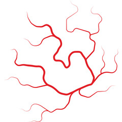 Abstract Network of Red Veins or Arteries on a Clean White Background Representing Biological Systems and Circulation