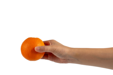 Hand holding orange isolated on transparent background.