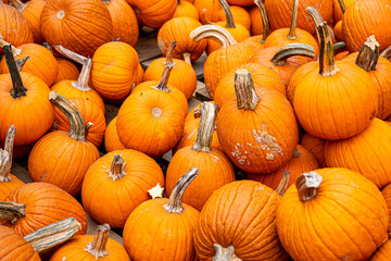Two stacked pumpkins with rough textures sit outside a farmhouse during autumn. The rustic composition highlights seasonal charm and the natural beauty of the fall harvest.