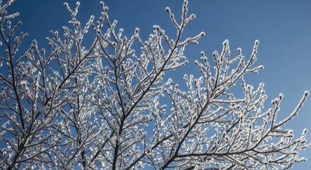 Delicate tree branches encased in sparkling ice crystals shimmer against a clear, vibrant blue winter sky, capturing the serene beauty of a frozen landscape.