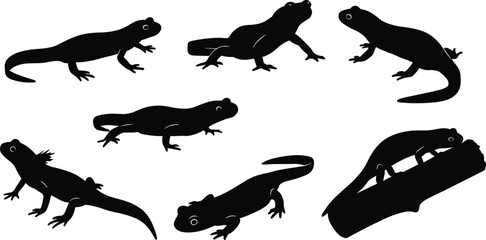 Silhouette salamanders walking, climbing, resting—black and white vector illustration of amphibians for nature, wildlife, forest animal concept