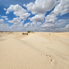 Cloudy sky over golden sand dunes at Monahans Sandhills State Park, Texas