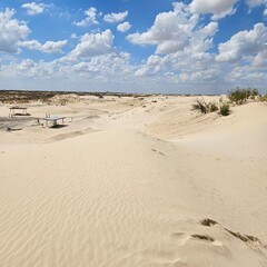 Rest area at Monahans Sandhills State Park, Texas