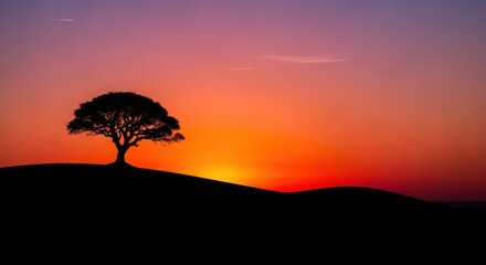 Silhouette of a tree on a hill at sunset vibrant colors in the sky nature background for landscape photography and peaceful concepts