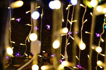 イルミネーション