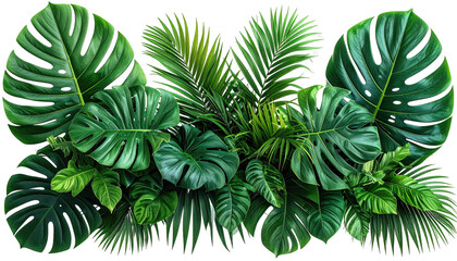 Lush jungle backdrop various green tropical leaves on black