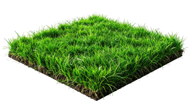 Lush, green square of grass, showcasing soil - Powered by Adobe