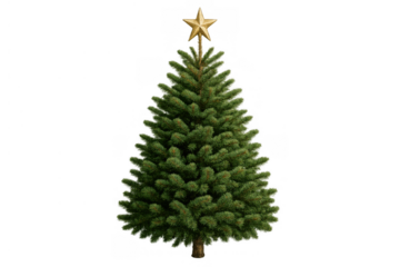 Christmas tree with golden star topper, celebrating winter holidays and festive decorations, isolated on transparent