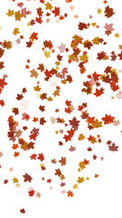Autumn fallen leaves with transparent background