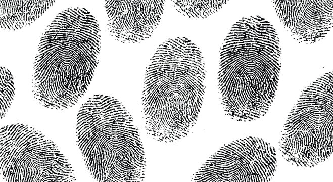 Seamless Background Texture of Multiple Black Fingerprints on White High Contrast Grunge Identity and Security Pattern