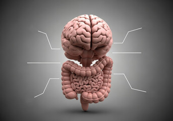 Gut-brain axis concept. 3D illustration of human brain and intestines connected, symbolizing second brain and link between digestive system and mental health.