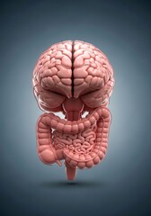 Gut-brain axis concept. 3D illustration of human brain and intestines connected, symbolizing second brain and link between digestive system and mental health.