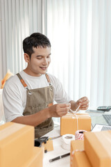 Ecommerce startup demonstrating modern online business model, combining packaging, logistics, and...