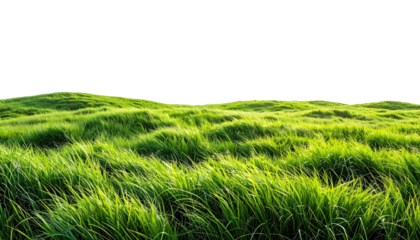 Lush grass landscape with a dark void above, nature's beauty