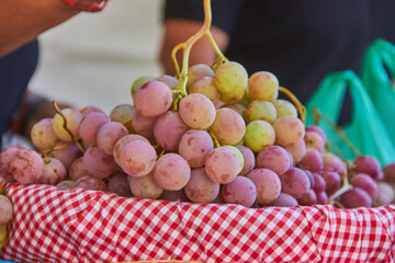 Fresh bunches of pink and green grapes displayed in a basket with red checkered cloth at a local market in Granada, Spain. summer fruit