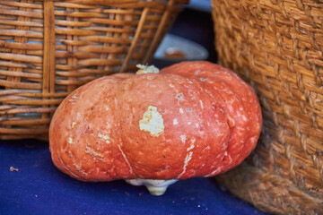 Rustic pumpkin with natural texture resting on a dark blue cloth between wicker baskets at a local Granada market in Spain. autumn harvest