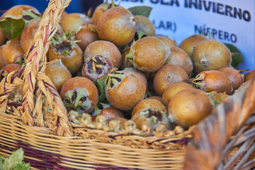 Fresh medlars with leaves displayed in a woven basket at a local market in Granada, Spain, showcasing rustic textures and autumn colors. seasonal fruit
