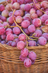 Close-up of fresh purple grapes piled in a wicker basket at a local Granada market, glistening under the sunlight and showing natural texture. harvest fruit