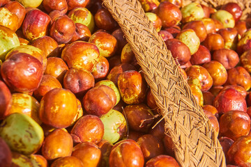 Close-up of ripe jujube fruits with golden and reddish tones in a rustic woven basket at a local market in Granada, Spain. autumn harvest
