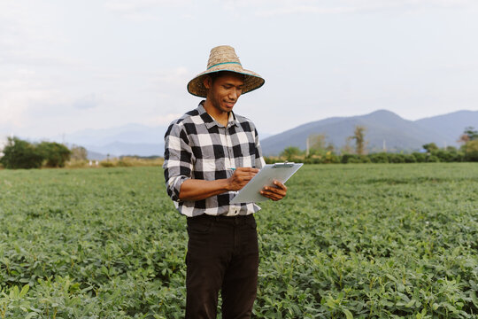 Young man in straw hat and plaid shirt checking plant health on a clipboard, standing in a lush green agricultural field
