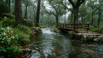 Obraz premium small old bridge over a rain swollen creek in the woods of eastern North Carolina
