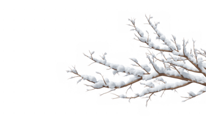 Snow accumulates on a bare branch in winter, AI, PNG