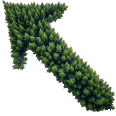 green leaves forming to an infinity recycle sign on a white isolated.