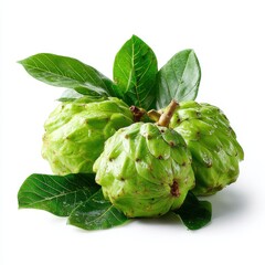 Fresh Green Atemoya Fruit with Leaves on White Background, Still Life