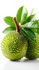 Fresh Green Durian Fruits with Leaves on White Background, Close-Up
