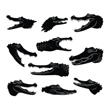 Alligator Point Vector Alligator Vector Images – Browse 81,841 Stock Photos, Vectors, and ...