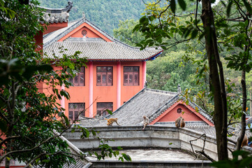 Monkeys Resting on Rooftops of Traditional Temple in Guiyang, China