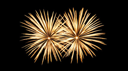 Obraz premium Golden fireworks bursting in the night sky, symbolizing grandeur and celebration, gold fireworks, celebration,