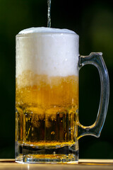 Freshly brewed craft lager bear with foam. Beer mug in summer nature. Sparkling amber ale beer with natural background.