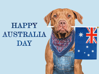 Happy Australia Day. Cute dog and Australian Flag. Closeup, indoors. Studio shot. Congratulations for family, loved ones, relatives, friends and colleagues. Pet care concept