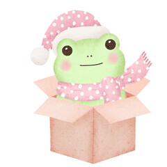frog winter in box 