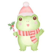 frog in winter costume