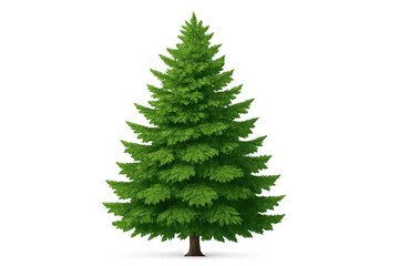 Fototapeta premium Green fir tree standing on transparent background, symbolizing nature, christmas, holidays, forest, winter season