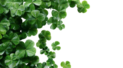 Fresh green clover leaf background with copy space. natural design element for St. Patrick day, symbolizing good luck and nature isolated, transparent background	
