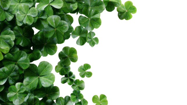 Fresh green clover leaf background with copy space. natural design element for St. Patrick day, symbolizing good luck and nature isolated, transparent background	
